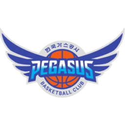 大邱石油公社飞马